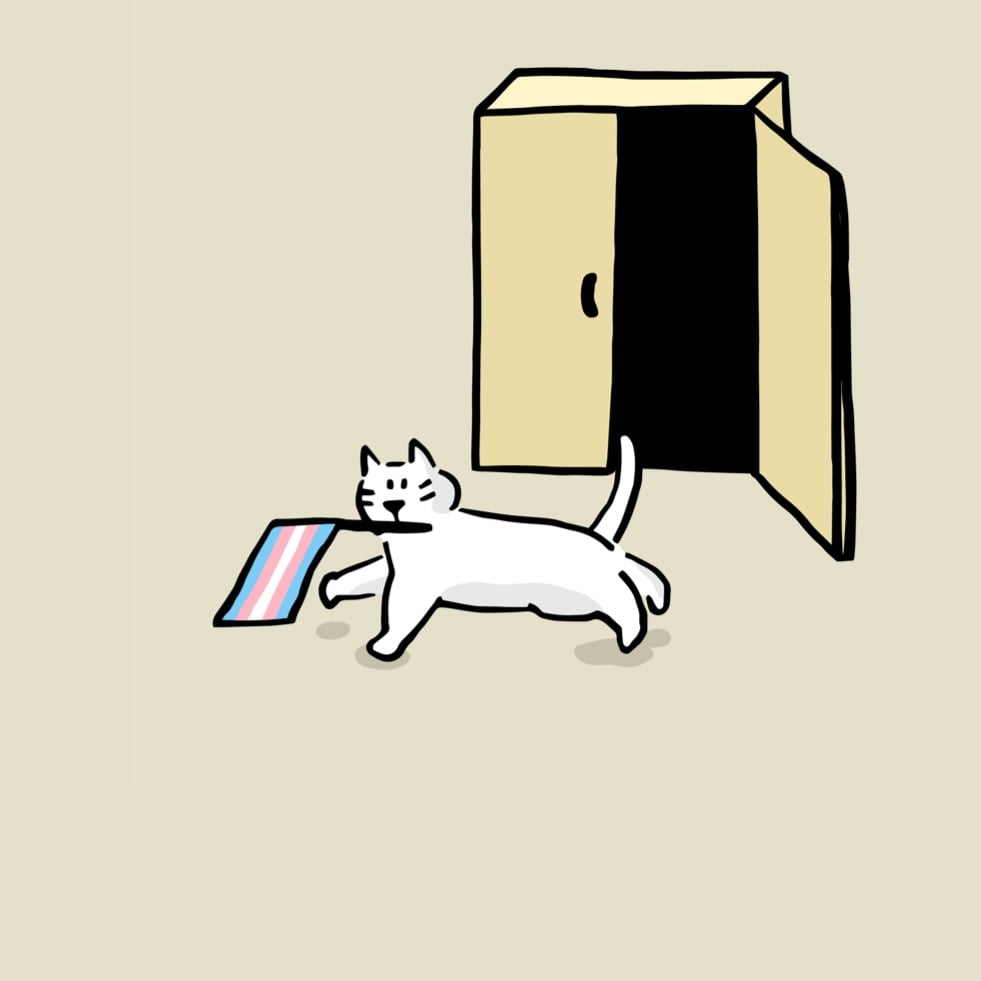 QueerWiki - Ⓣ Trans People Are Here (Vol. 2)